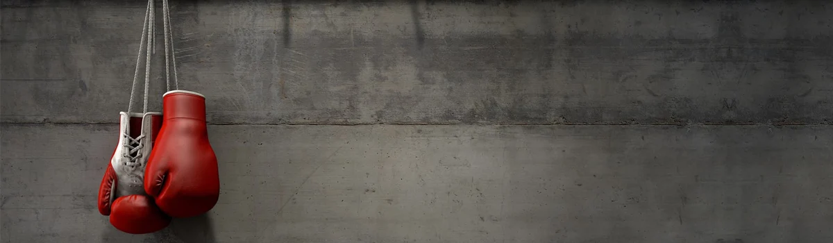 El TSJPV avala el despido de un trabajador por impartir clases de boxeo durante su baja médica