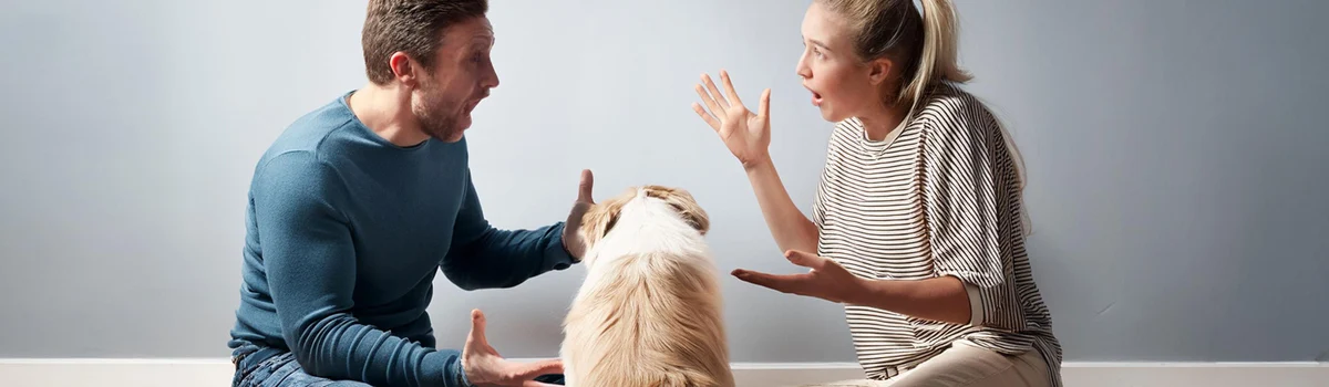 Custodia compartida de un animal de compañía en caso de separación