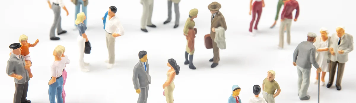 Ley de Servicios Sociales