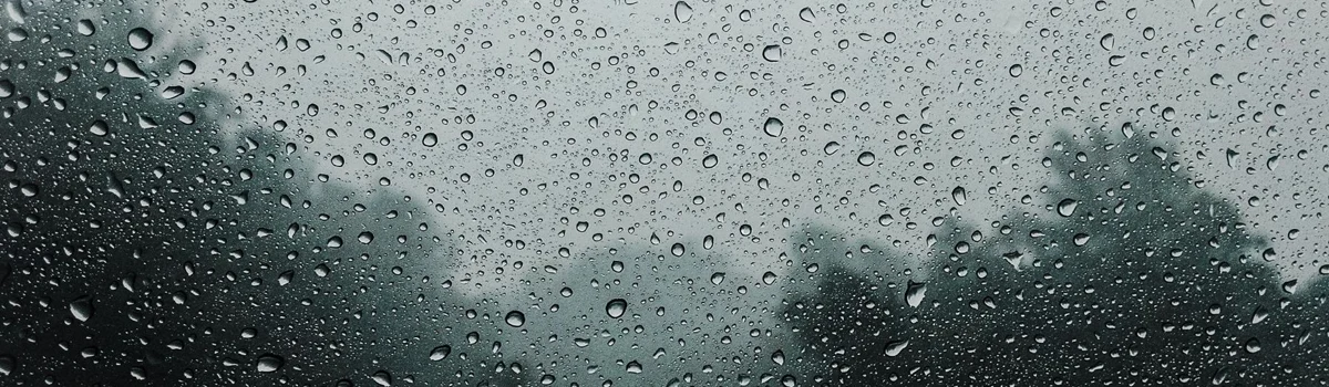 ¿Has sufrido daños en tu vivienda o vehículo como consecuencia de las lluvias torrenciales o por el granizo?